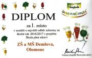 diplom-20162017