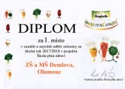 diplom-20172018