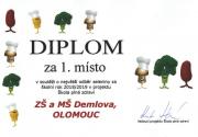 diplom-20182019