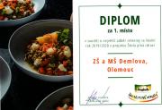 diplom-20192020